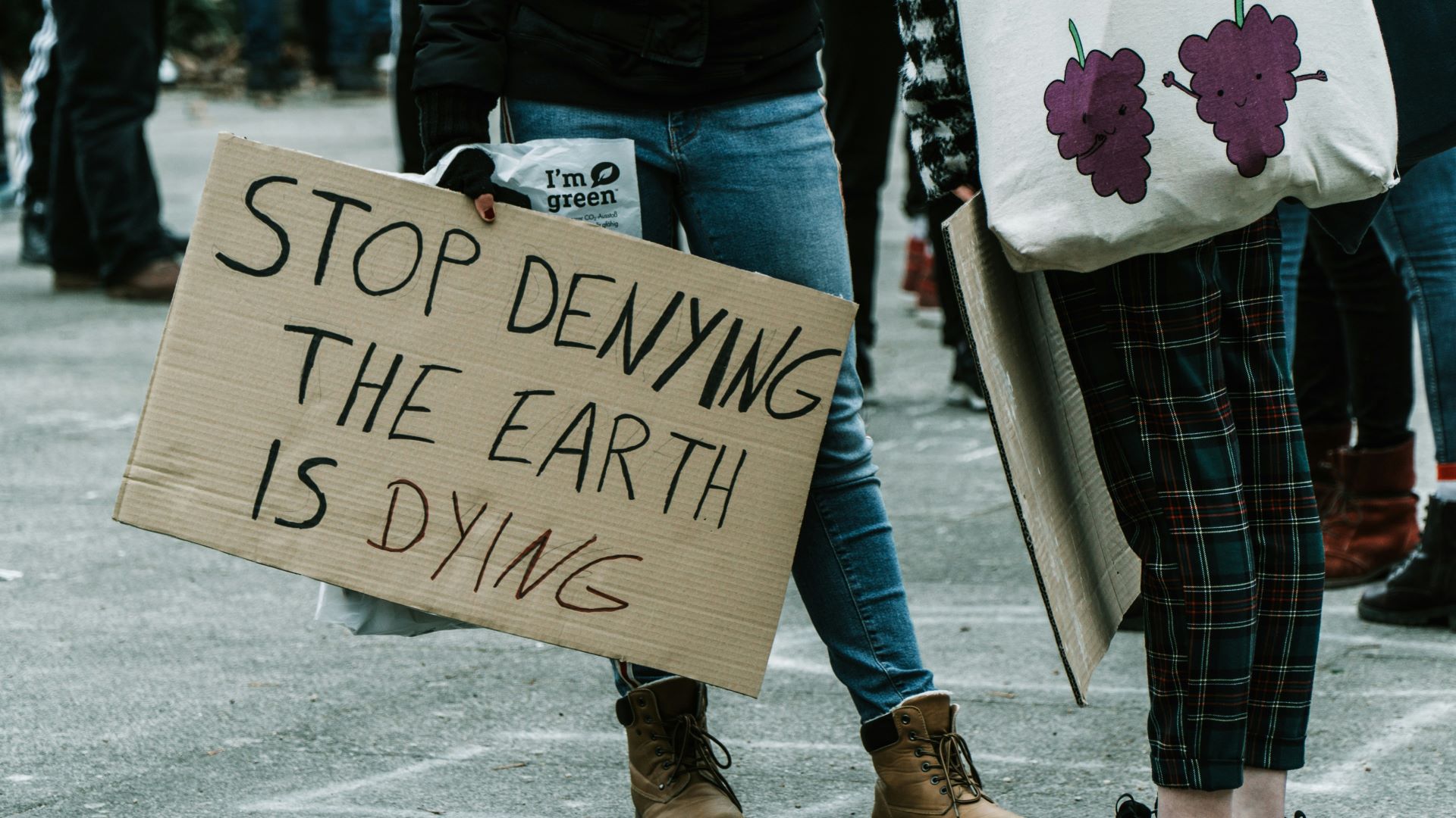 Demonstration, mand står med et skilt i hånden med teksten "Stop denying the world is dying"